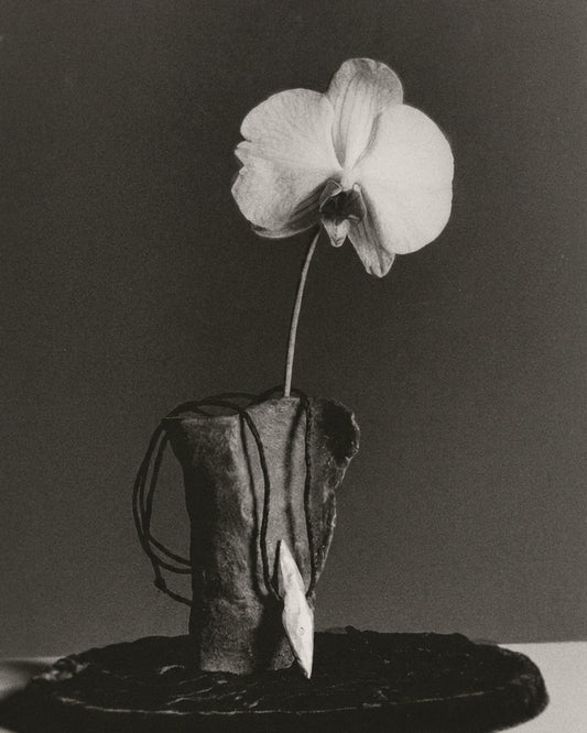 A black and white photograph of a single orchid flower with a long stem, inserted into a textured ceramic pot on a dark round base against a dark gray background.