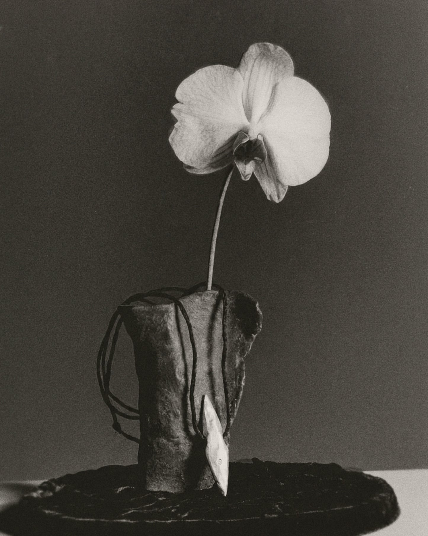 A black and white photograph of a single orchid flower with a long stem, inserted into a textured ceramic pot on a dark round base against a dark gray background.