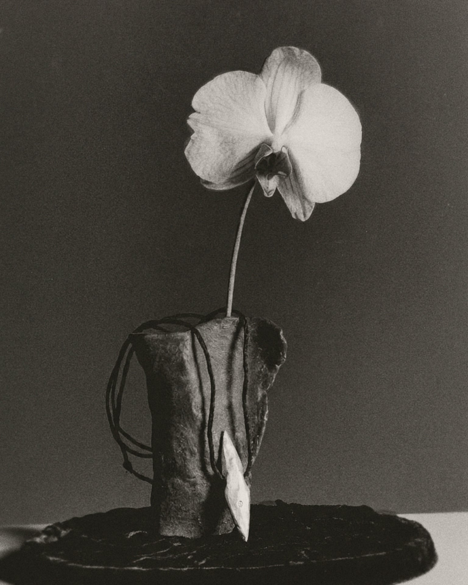 A black and white photograph of a single orchid flower with a long stem, inserted into a textured ceramic pot on a dark round base against a dark gray background.